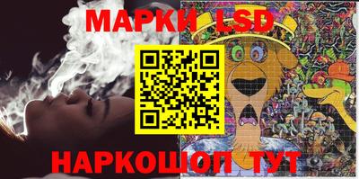 гидропоника Донской