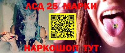 гидропоника Донской