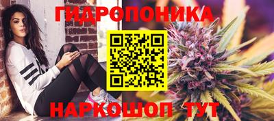 гидропоника Донской