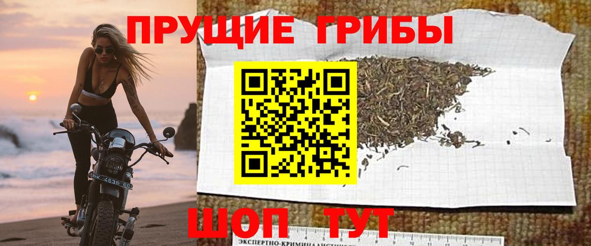 Псилоцибиновые грибы GOLDEN TEACHER Назарово